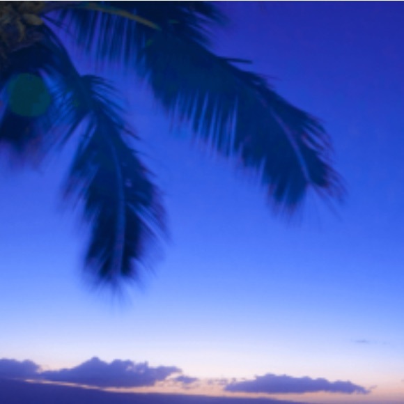 OLD LISTING. FOLLOW NEW LISTING AT TOP OF CLOSET - Picture 3 of 8